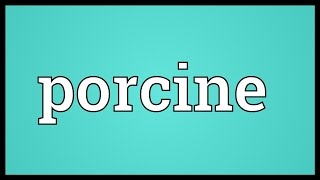 Porcine Meaning [upl. by Amelie63]