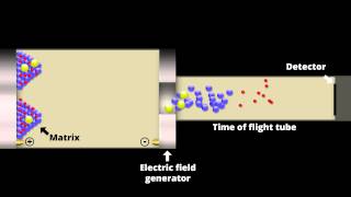 Mass Analyzers An Overview of Common Mass Spectrometers and How They Work [upl. by Mccutcheon]