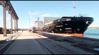 MV ADASUN  MOSTAGANEM PORT  DISCHARGING OPS [upl. by Adnolrehs149]