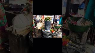 Boro kachari Temple Mystery shiva shiv shivshankar shivji idol minivlog yt shorts tour wow [upl. by Eemia]