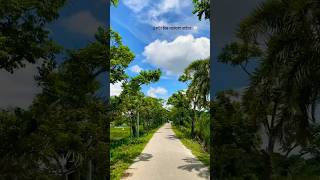 একটা চাঁদ জোৎস্না রাইতে 🤍banglasong banglakobita [upl. by Naujat407]