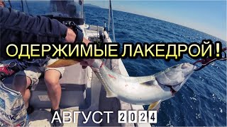 ЛАКЕДРА РВЕТ ШНУРЫ 😱 РЫБА ЖРЁТ КОТЛЫ ПОГОНИ [upl. by Ressay]