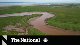 Protecting the Chignecto Isthmus from climate change [upl. by Childers]