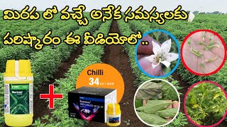 basf exponus insecticide  exponus basf insecticide  uses telugu  basf merivon fungicide [upl. by Nohsar]