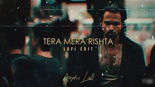 Tera Mera Rishta   SLOWED amp REVERB  Office music video [upl. by Reizarf200]