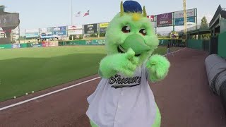 No more Skeeters Houston Astros are renaming their Sugar Land Triple A team [upl. by Wymore382]