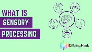 What is Sensory Processing [upl. by Kolnos]