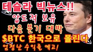 테슬라 빅뉴스  Tesla 압도적 보유  다음 분기 게임체인저  일론 머스크   테슬라 투자  이번 사이클 비트코인 한국으로 몰린다 반감기 사이클 엄청난 수익률 예고 [upl. by Aikenahs]