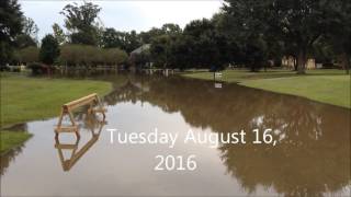 Louisiana Ascension Parish Manchac Bayou Prairieville Flooding August 2016 [upl. by Schouten]