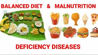 BALANCED DIET amp MALNUTRITIONNCERT CLASS6 CHAPTER  2 Part2 [upl. by Lucic]