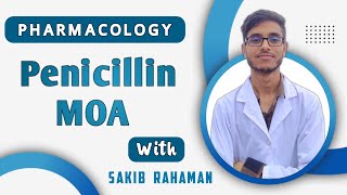 Mechanism of action of Penicillin  Beta lactam antibiotics  Cephalosporins  Pharmacology bangla [upl. by Ardnola]