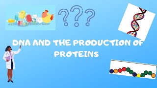 DNA and the production of proteins Part 1 [upl. by Winou594]