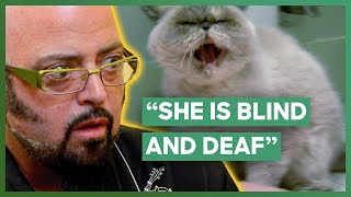 Jackson Galaxy Helps A Blind Deaf And Aggressive Cat  My Cat From Hell [upl. by Ellienad695]