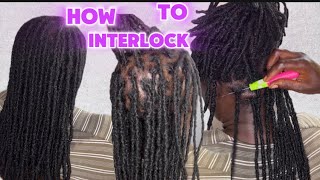 EASY AND SAFEST WAY TO INTERLOCK LOCS WITH A CROCHET NEEDLE LOC MAINTENANCE [upl. by Zul]