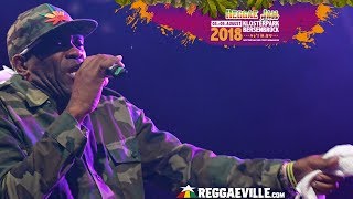 Wickerman  Reggae Jam Festival 2018 [upl. by Aidnac916]