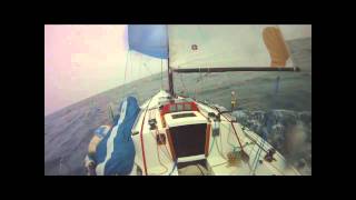 2010 Singlehanded Transpac  The Return Trip [upl. by Teerpnam]