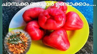 ചാമ്പക്ക അച്ചാർ ഉണ്ടാക്കാം EASY ROSE APPLE PICKLE recipe in Malayalam [upl. by Wallie]