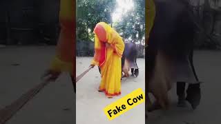 Fake Cow Attack Pranks Vs Cute Girls Part 3 shorts youtubeshorts emtiazbhuyan [upl. by Aidnama838]