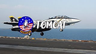 F14 Tomcat freedom is mandatory [upl. by Einoj]