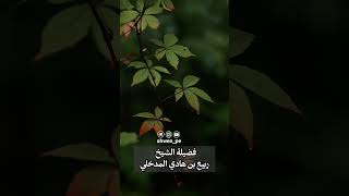 كتب الردود هي كتب جهاد المدخلي فضيلة الشيخ ربيع المدخلي [upl. by Potter759]