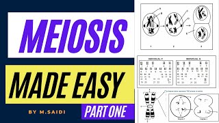 MEIOSSIS MADE EASY GRADE 12 LIFE SCIENCES INTRODUCTION AND CROSING OVER BY MSAIDI THUNDEREDUC [upl. by Tamarah]