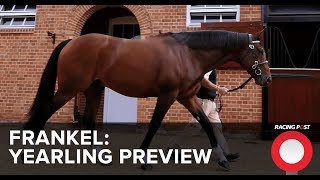 Frankel Watch Yearling Preview [upl. by Ehsrop188]