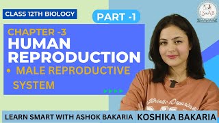 PART 1 Human Reproduction Class 12 Biology Chapter 2 Explained Koshika Bakaria [upl. by Biddie]