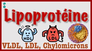 Lipoprotéines  VLDL HDL LDL Chylomicrons Cholestérol [upl. by Corrianne]