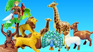 Playmobil City Life Toy Wild Animals Large Zoo Building Sets Videos [upl. by Sclar]