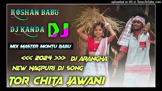 TOR CHITA JAWANI  NEW NAGPURI DJ SONG  NEW HO MUNDA DJ SONG  HO DJ SONG 2024 [upl. by Fessuoy]