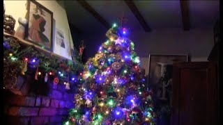 Bill Nelson Christmas Video 2022 [upl. by Quintessa]