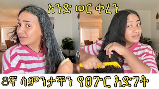 አንድ ወር ብቻ ቀረን 8ኛ ሳምንት የፀጉር እድገት ቻሌንጃችን week 8th hair growth challenge [upl. by Aneej257]