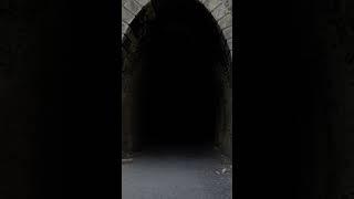 Guess whats inside this spooky abandoned tunnel shorts spooky ghost [upl. by Filler]