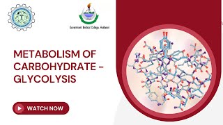 Metabolism of Carbohydrate  Glycolysis [upl. by Rennane]
