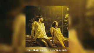 Teri Jhuki Nazar  slowed reverb [upl. by Ardis]