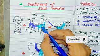 Development of sinus venosus  CvS embryology [upl. by Riggs]