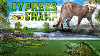 Zoo Tours Cypress Swamp  North Carolina Zoo [upl. by Shanks]