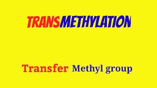 Transmethylation Transmethylation Reaction Transmethylation Mechanism TransmethylationAnimation [upl. by Leggat]