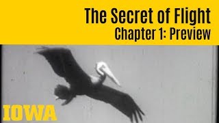 The Secret of Flight 1 Preview [upl. by Marybelle]