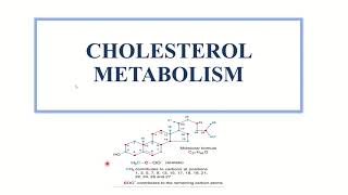 Cholesterol Biosynthesis Malayalam Cholesterol Metabolism [upl. by Attenrad]