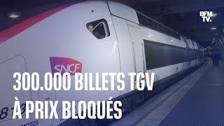 SNCF 300000 billets TGV à 29 39 ou 49 euros pour le mois daoût [upl. by Oicnedif]