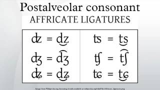 Postalveolar consonant [upl. by Igig]