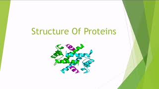 Structure Of Proteins  Biochemistry  In Hindi [upl. by Einnel939]