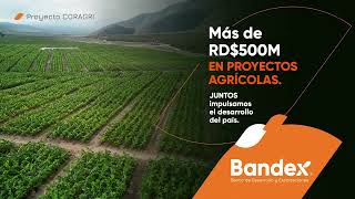 Bandex  Agricultura  Proyecto CORAGRI [upl. by Viole]