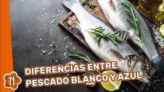 Diferencias entre pescado blanco y pescado azul [upl. by Ennailuj]