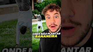 pode plantar bananeira livedobrino humor MundinhoBrino [upl. by Ecneralc760]