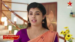 Paluke Bangaramayena  Promo  13th Nov 2024  Star Maa Serials  MonSat at 130 pm  Star Maa [upl. by Follmer663]