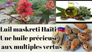 Lhuile maskreti Haïti 🇭🇹 💯 pur kisa li fè pou cheve ak po [upl. by Ligriv]