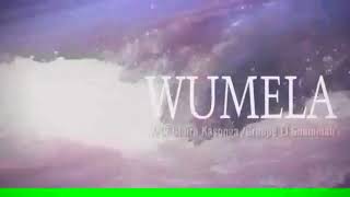 Wumela El shamma music [upl. by Alansen586]