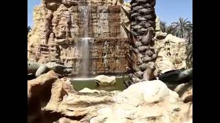 Tozeur Oasis  واحة مدينة توزر [upl. by Beth44]